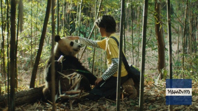moonthepanda photo81 640x360.jpg