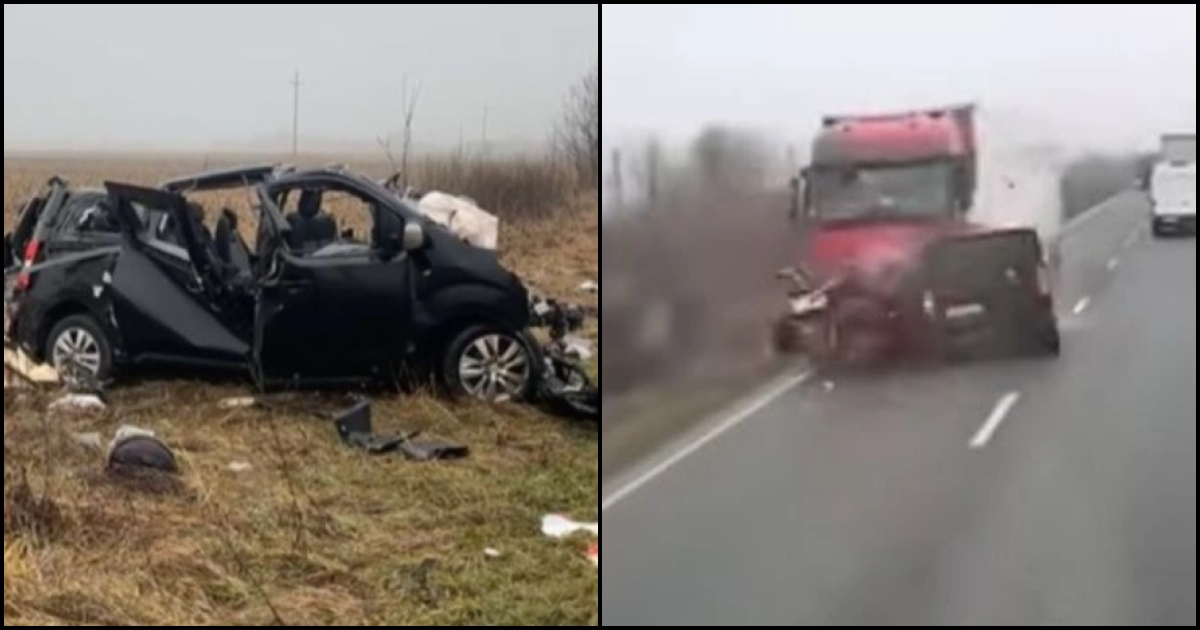 befunky collage234 2026 01 27t163307.687.jpg