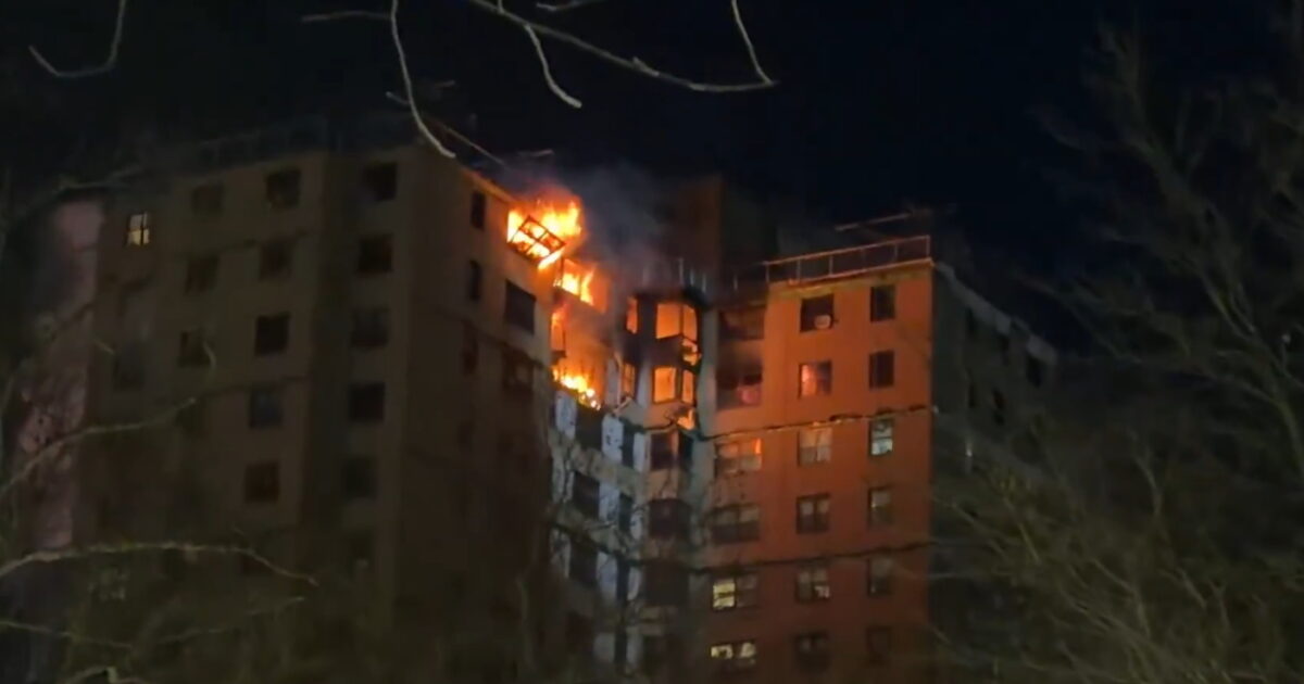 fotia bronx 1200x630.jpg