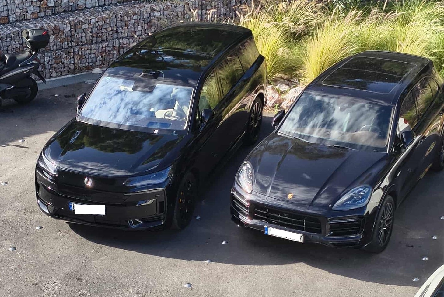 received 2115972805813944.jpeg