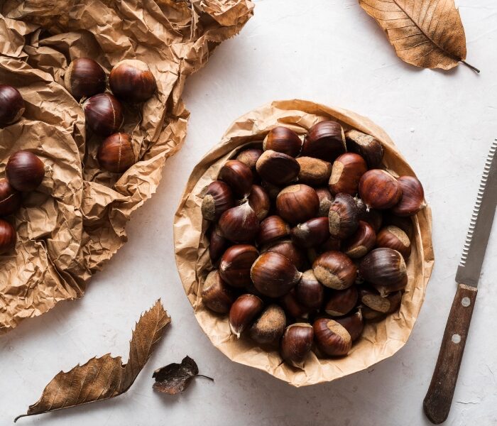 seph1 2023 01 24t163228.074 large.jpg