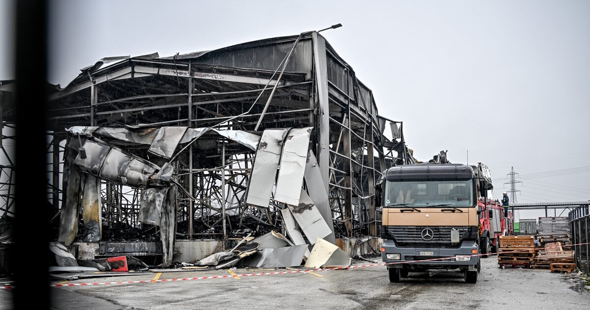 violanta 4 1200x630.jpg