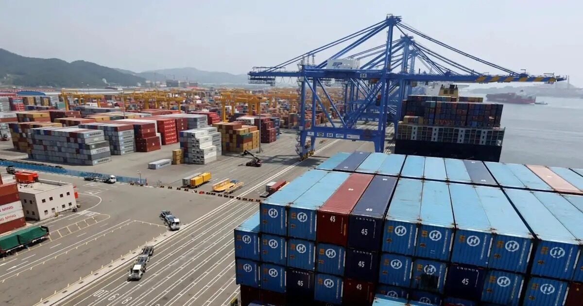 1771612715 containers exports reuters scale 1200x630.jpg