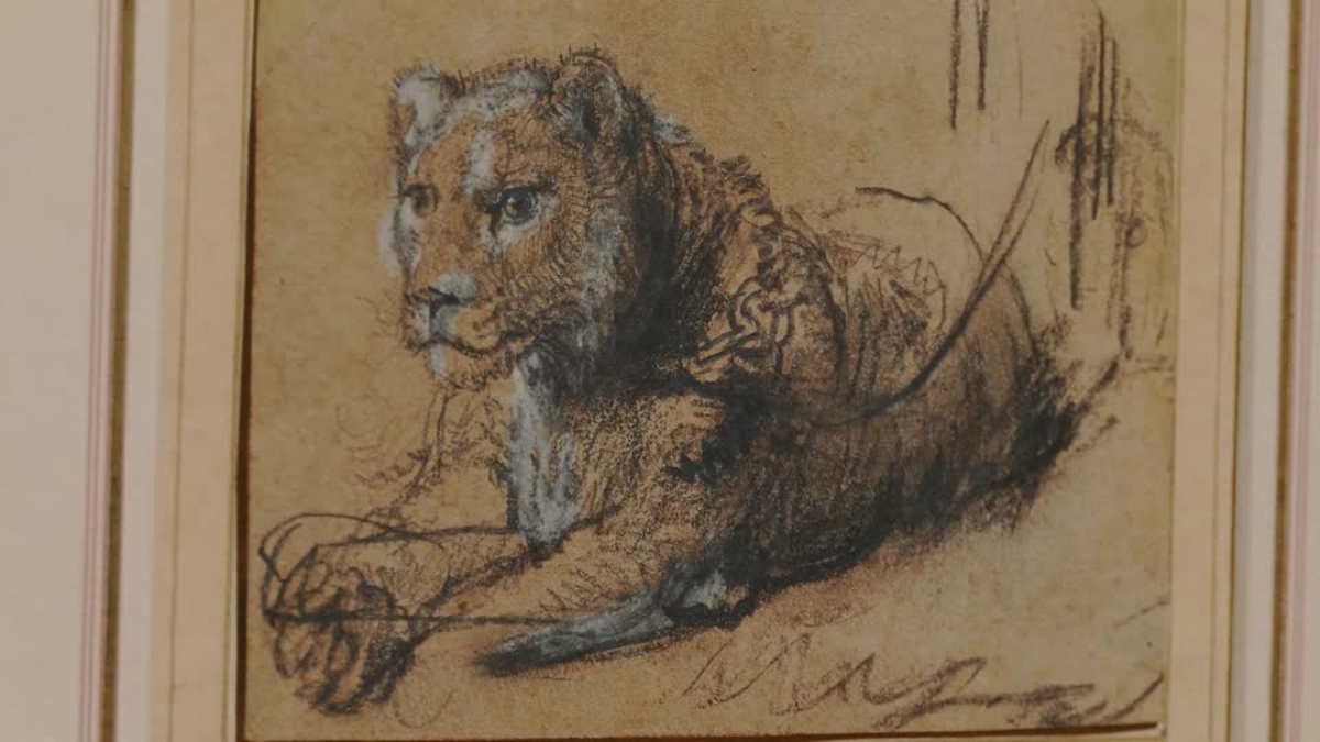 art rembrandt lion.jpg