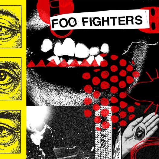 foo fighters your favorite toy.jpg