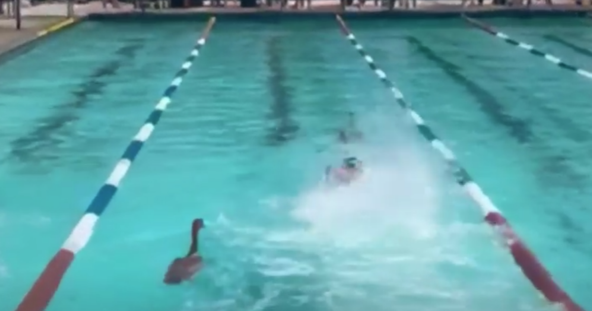 geese 1200x630.png