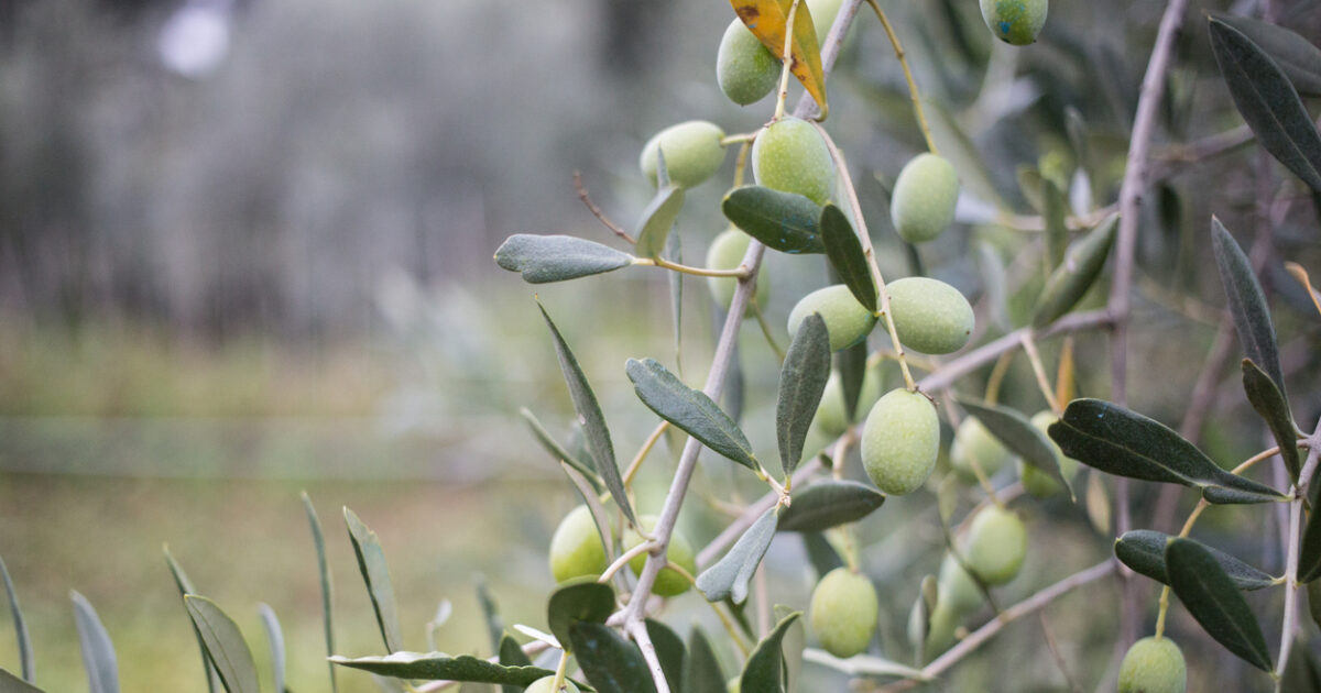 istock 1067029302 1200x630.jpg