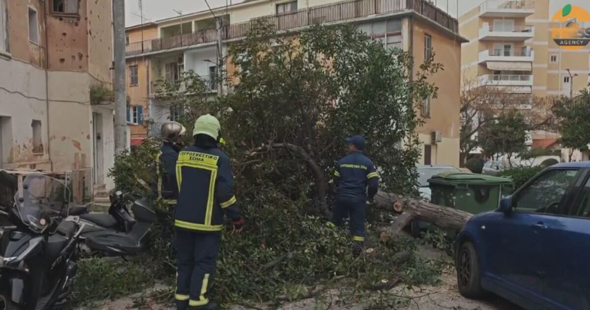 pyrosvestes dentro 1200x630.jpg