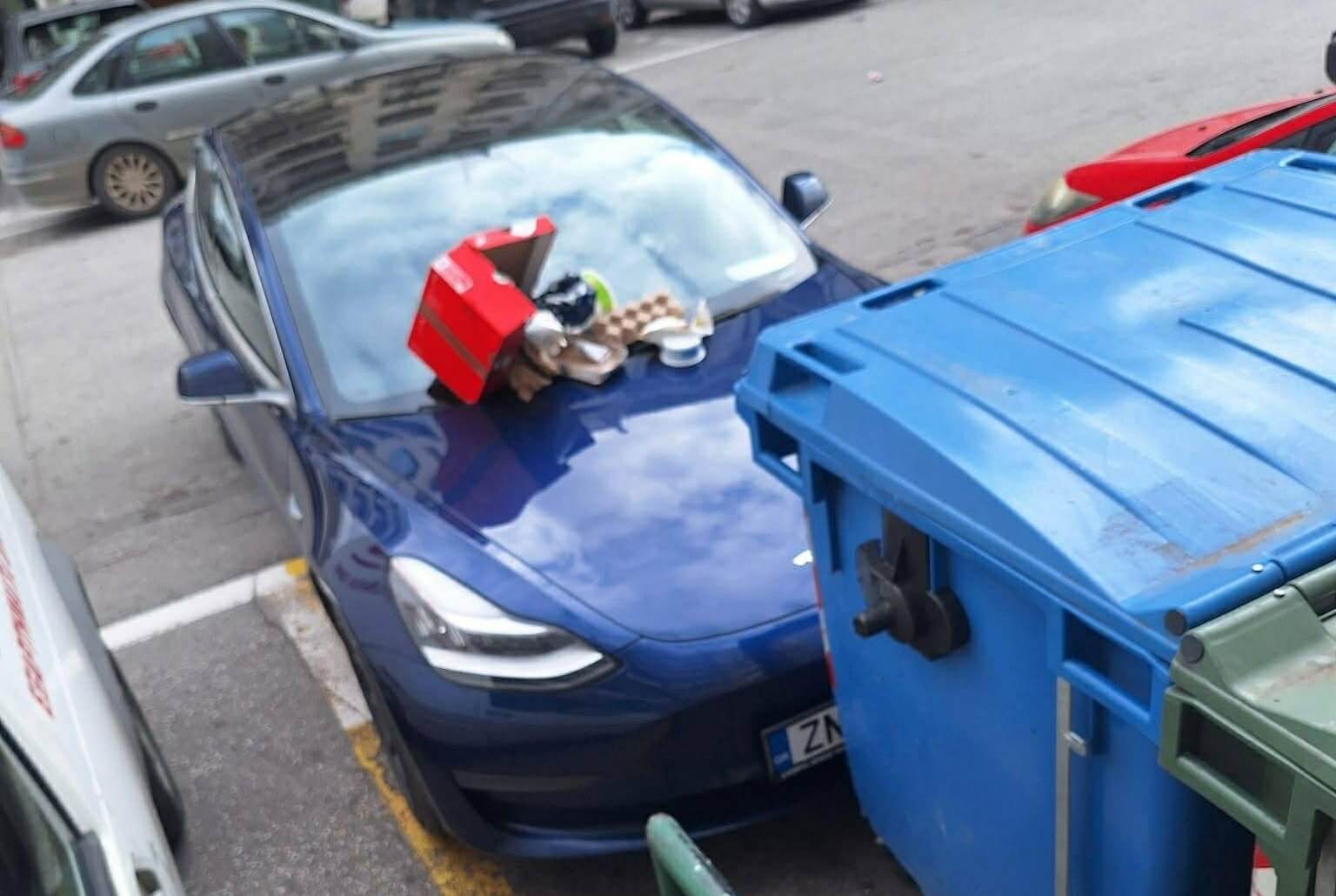 received 1951561258767971.jpeg