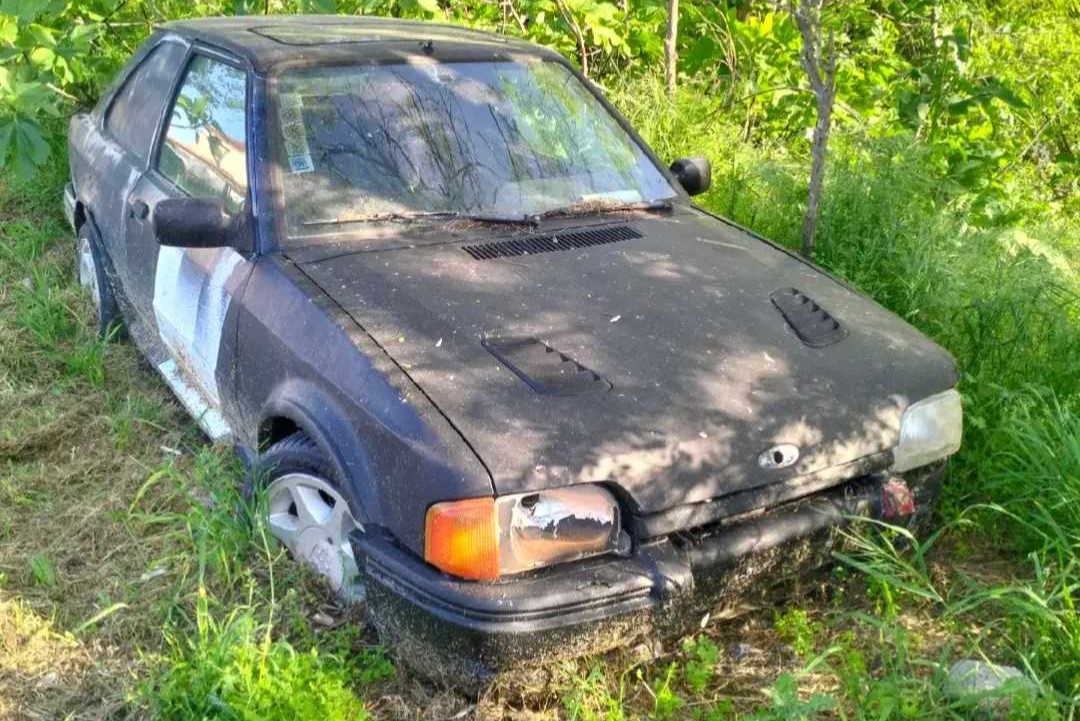 received 3334264566727882.jpeg