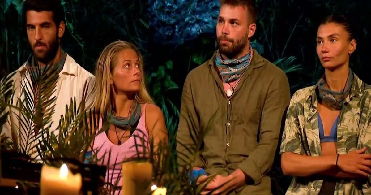 suervivor 27022026 1200x630.jpg