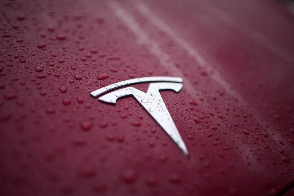 tesla badge.jpg