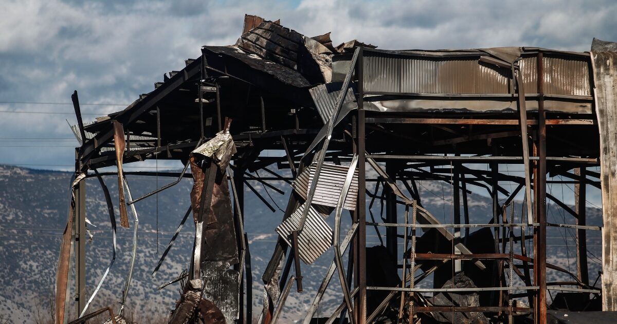 violanta 6 1 1200x630.jpg