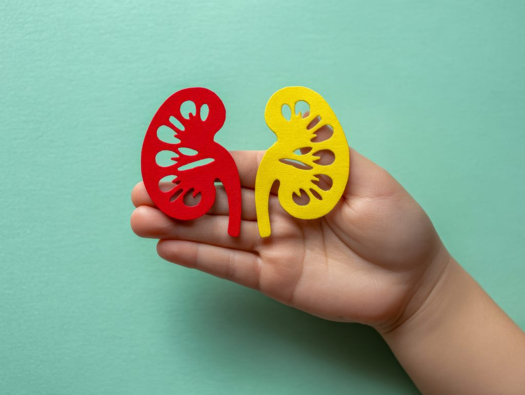 453227 nefra 9 sybtomata pou borei na deichnoun oti kati den leitourgei sosta.jpg