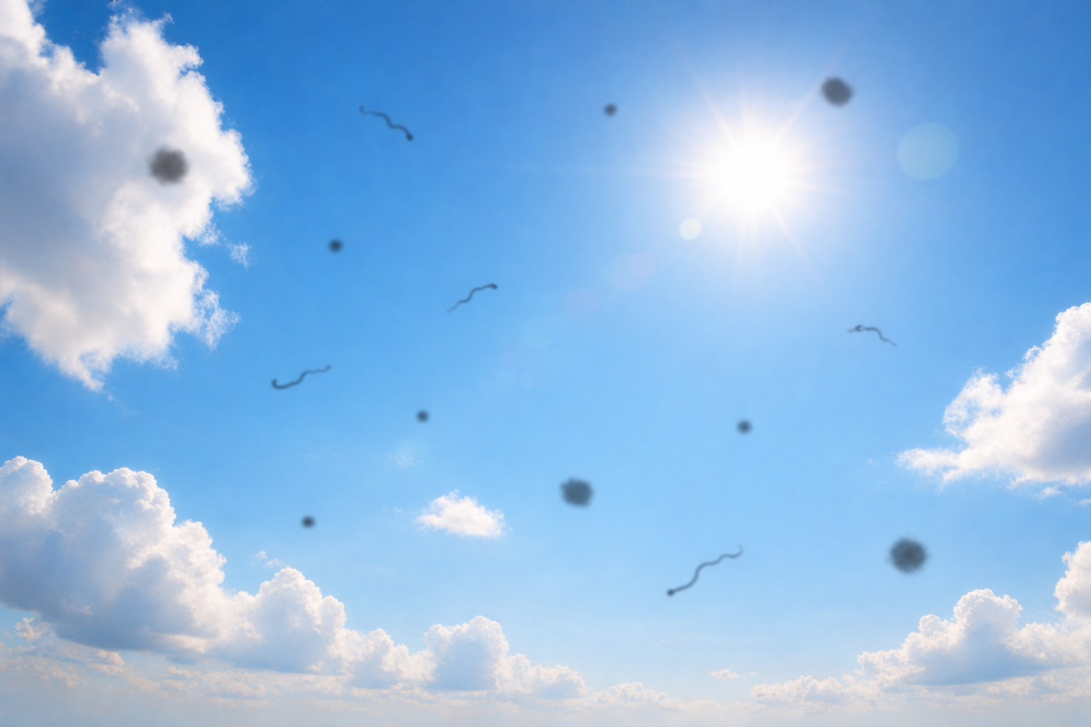 453326 orasi ti simainei na vlepoume teleies kai nimata sto optiko mas pedio pote na anisychisoume.png