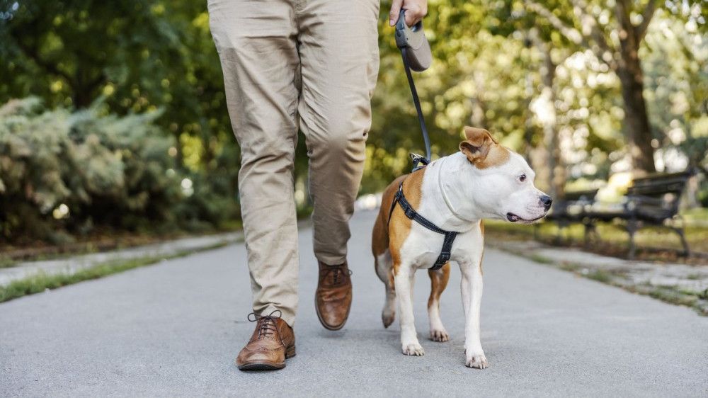 453348 perpatima posa lepta tin imera chreiazontai gia na meiothei o kindynos proorou thanatou.jpg