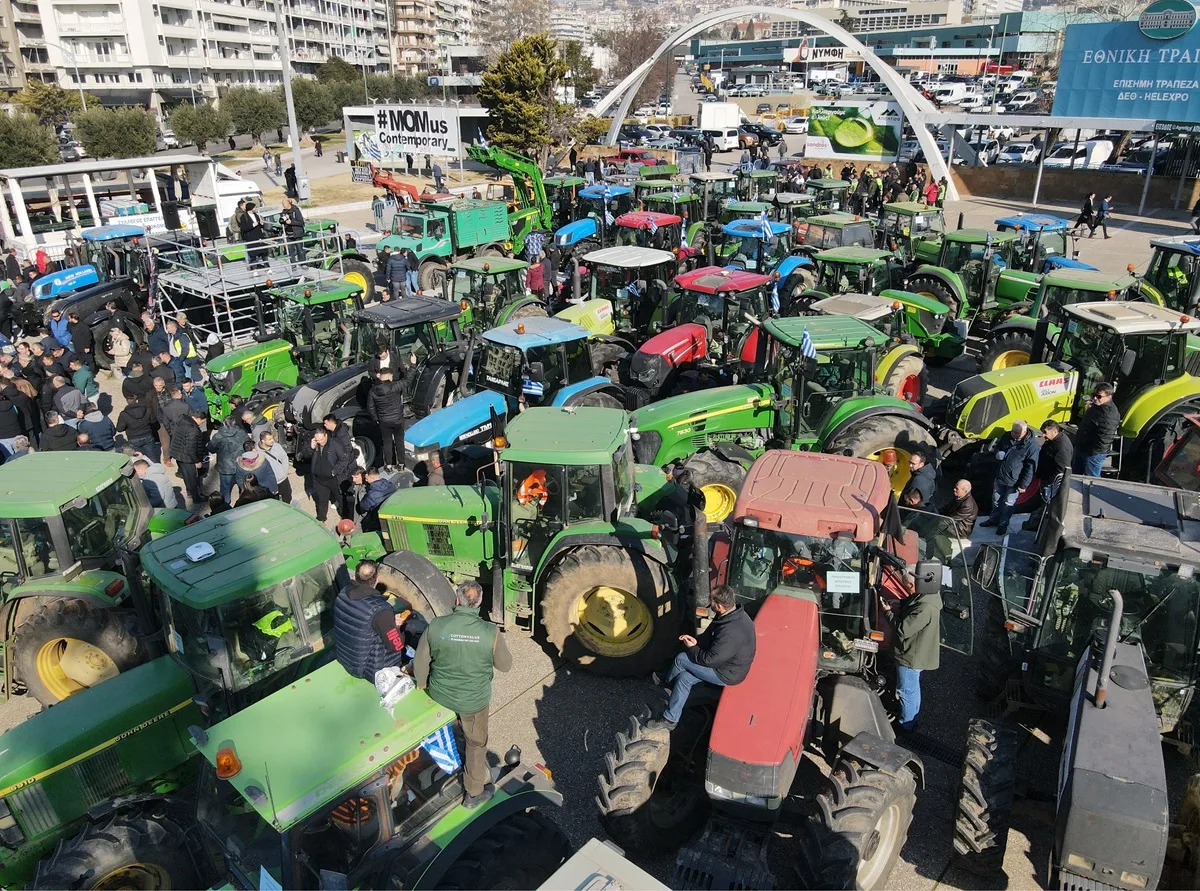 agrotes agrotica.jpg.webp.webp