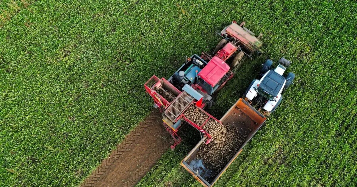 agrotes trakter reuters 1200x630.jpg