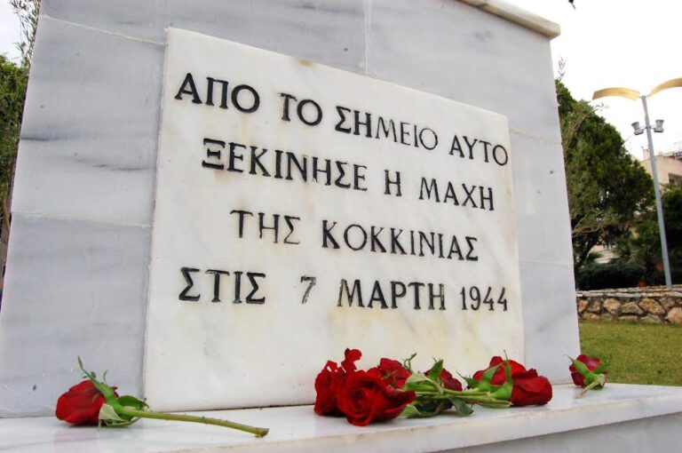 foto maxi 768x510 1.jpg