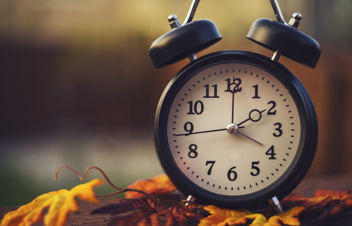 istock 868352538 e1774537872959.jpg