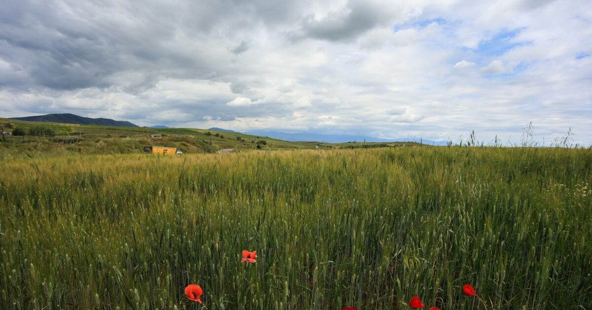 kairos 1 1200x630.jpg