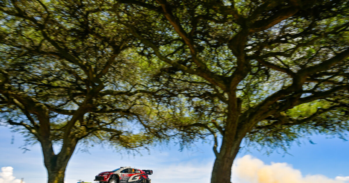 katsouta wrc 2026 kenya 1200x630.jpg