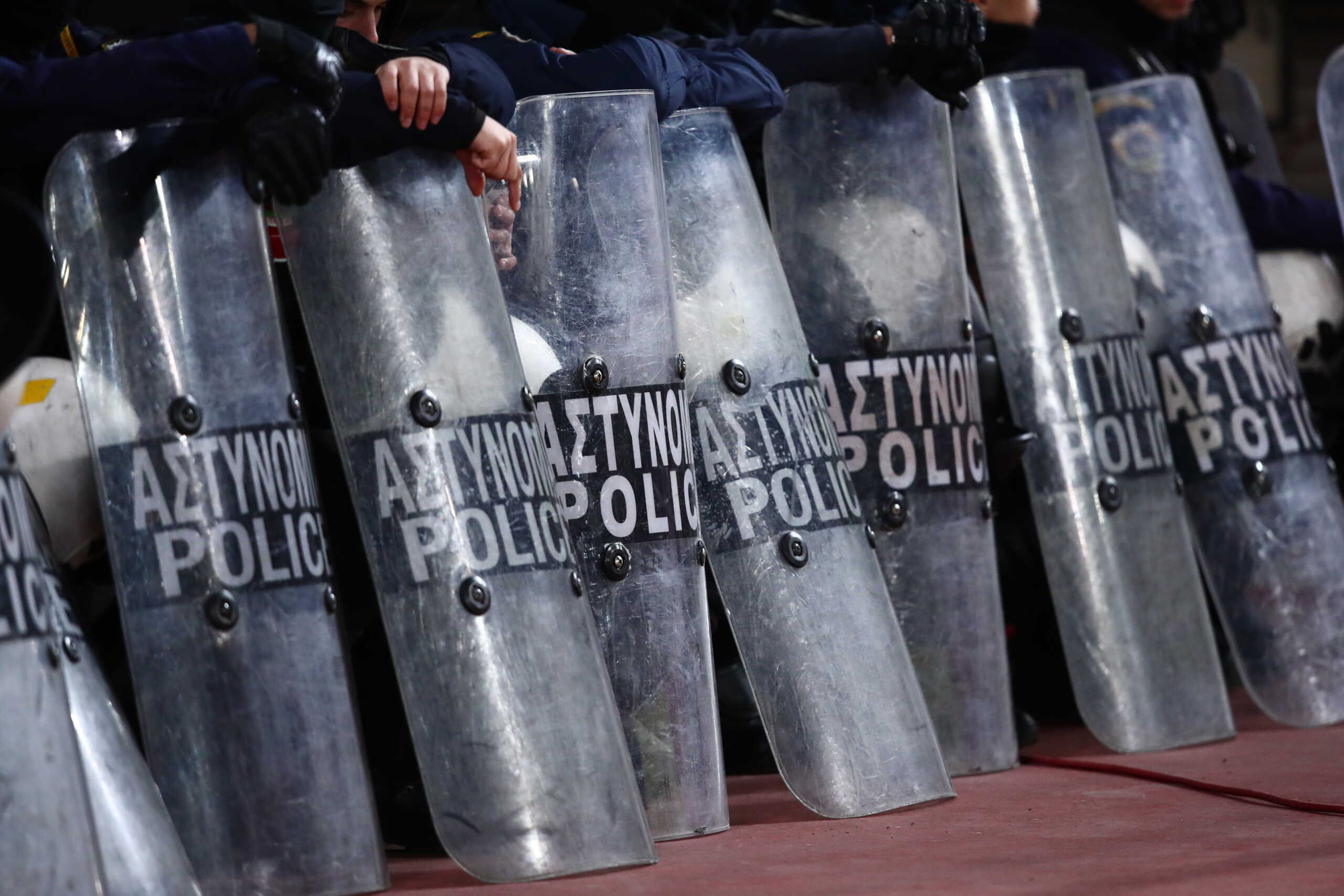 mat gipedo scaled.jpg