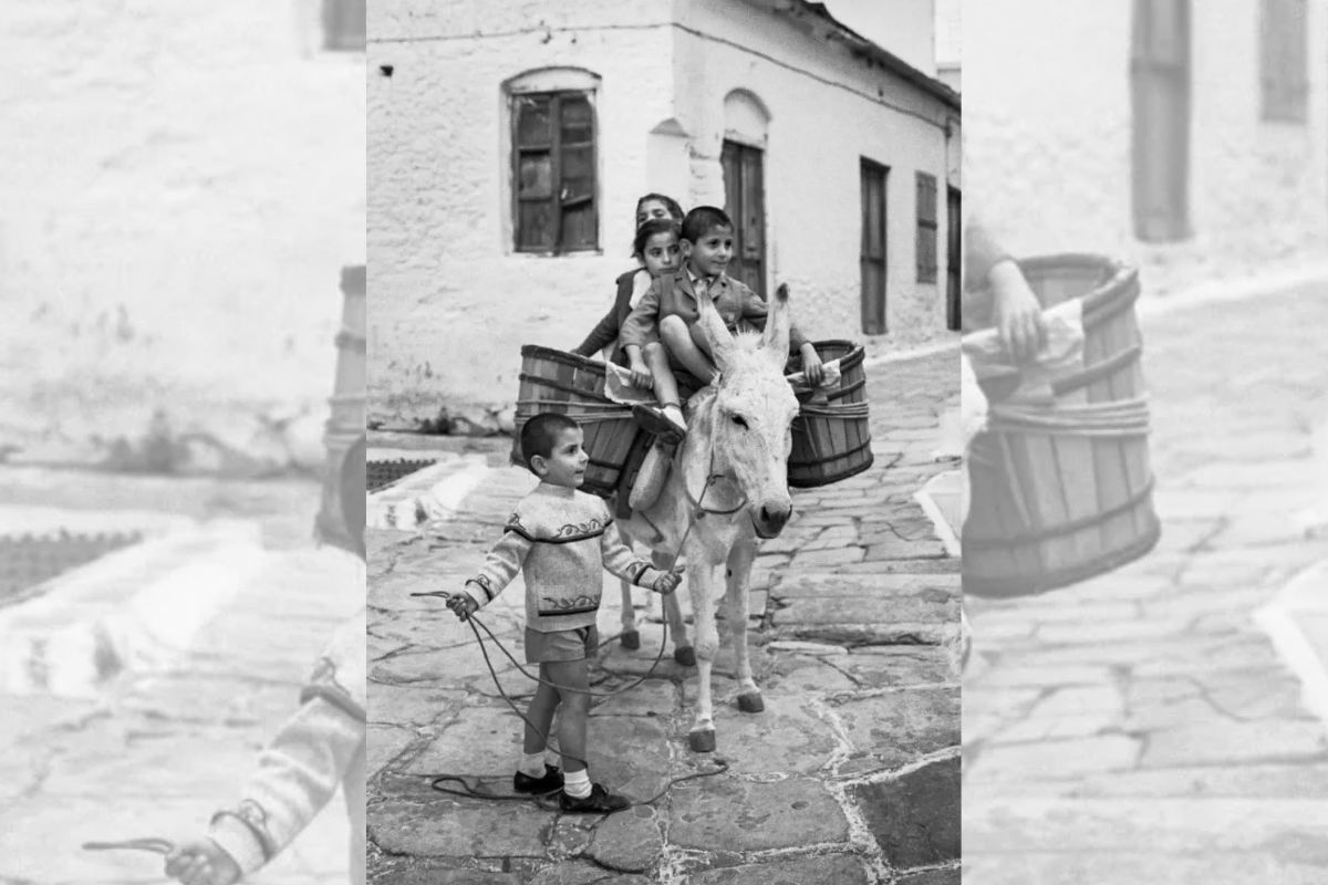 robert mccabe 110.jpg