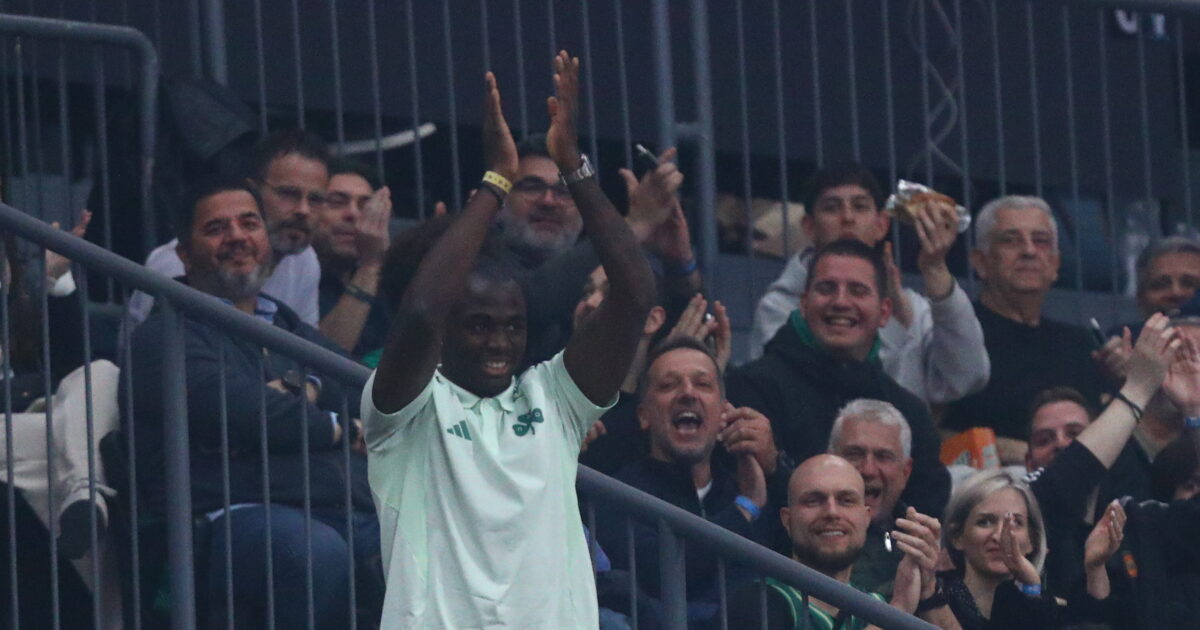 tetei 2 1200x630.jpg