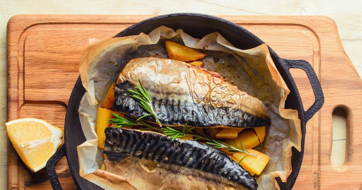 1775375491 fish1 1200x630.jpg