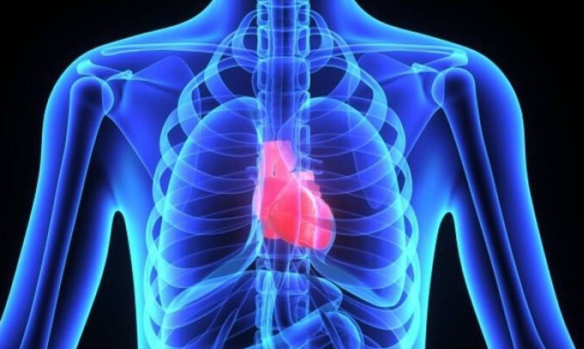 454374 i ousia kleidi pou giatrevei tin kardia ta entyposiaka apotelesmata tis meletis tou lints.jpg