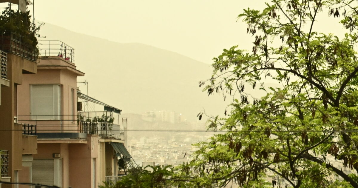 afrikaniki skoni eurok 3 1200x630.jpg