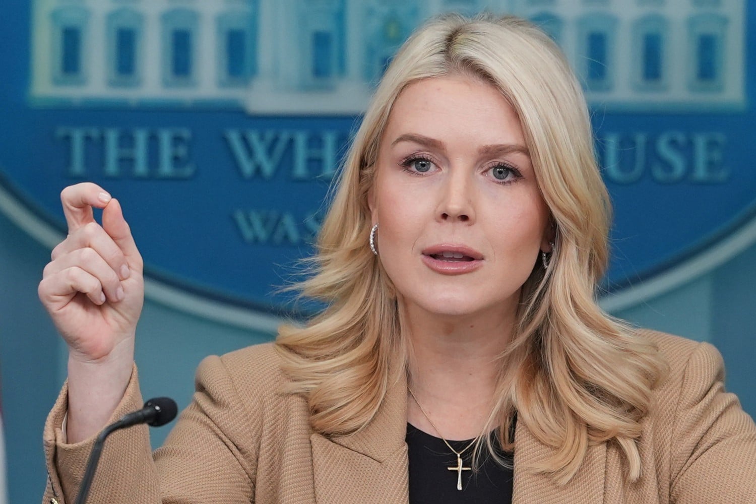 caroline leavitt.jpg