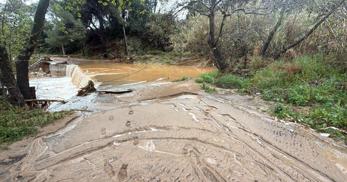 iremou pefkou 2 1200x630.jpeg