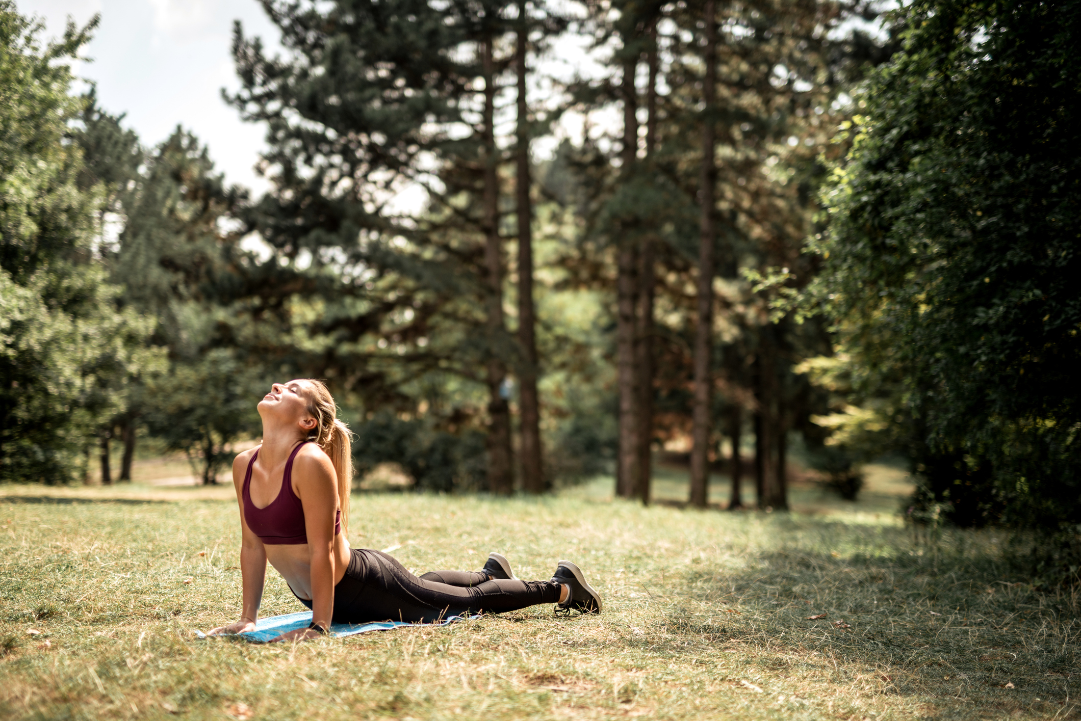 istock 1079183580.jpg