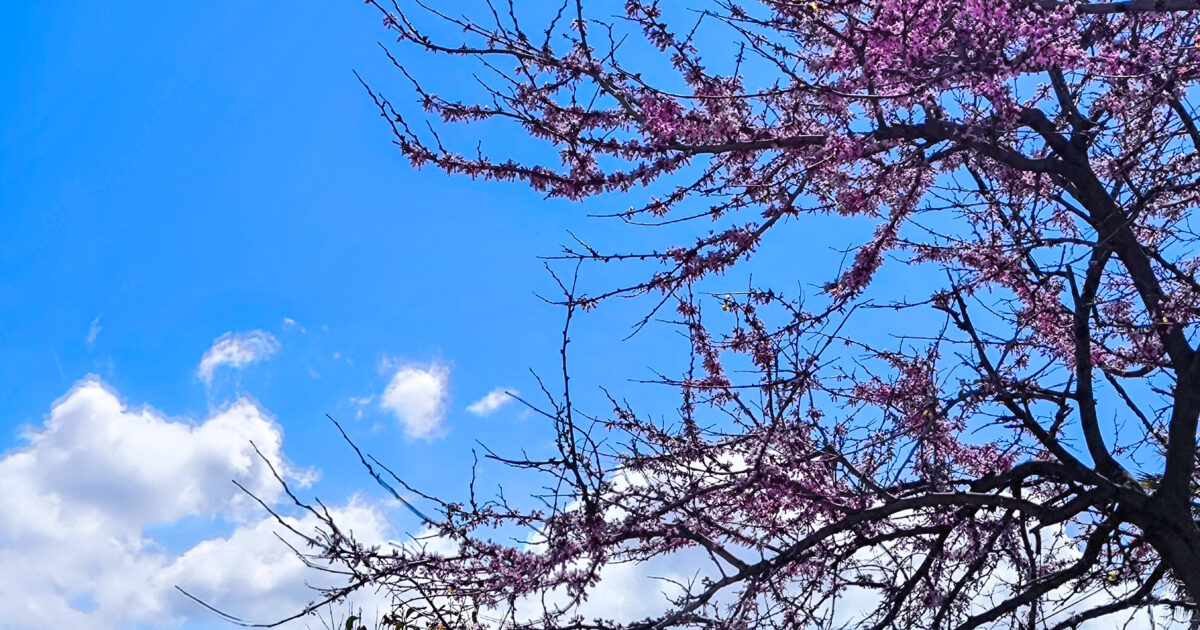 kairos synnefa louloudia eurokinissi 1200x630.jpg