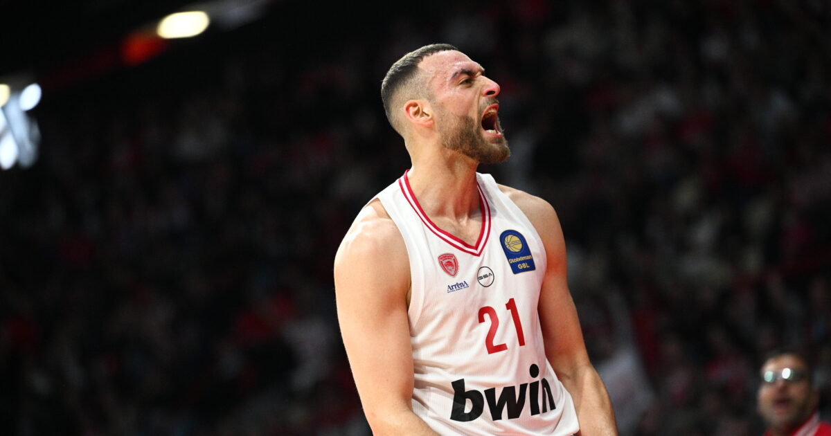 netzipoglou 1200x630.jpg