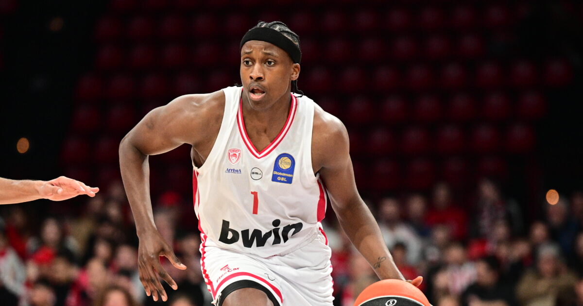 nilikina 1200x630.jpg