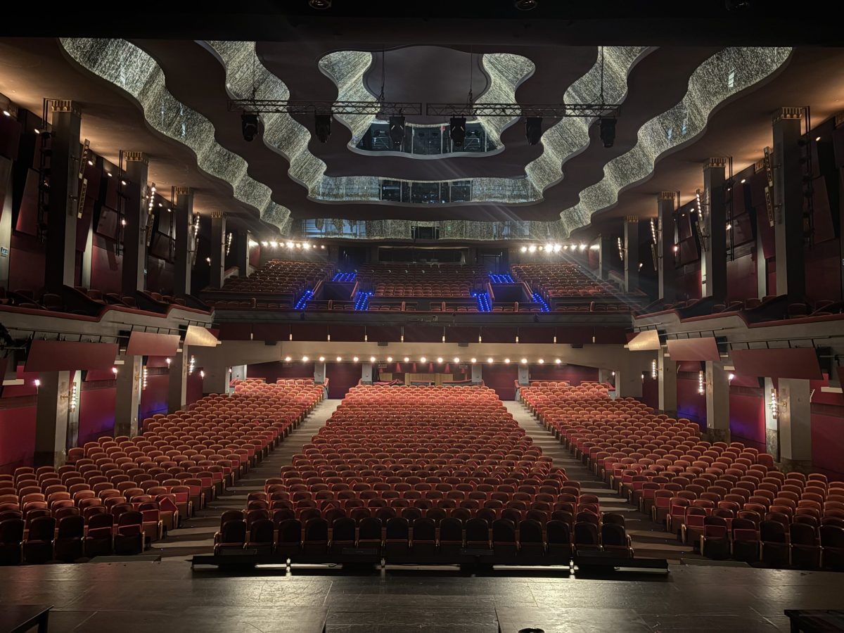 pallas photo scaled e1776361042988.jpg