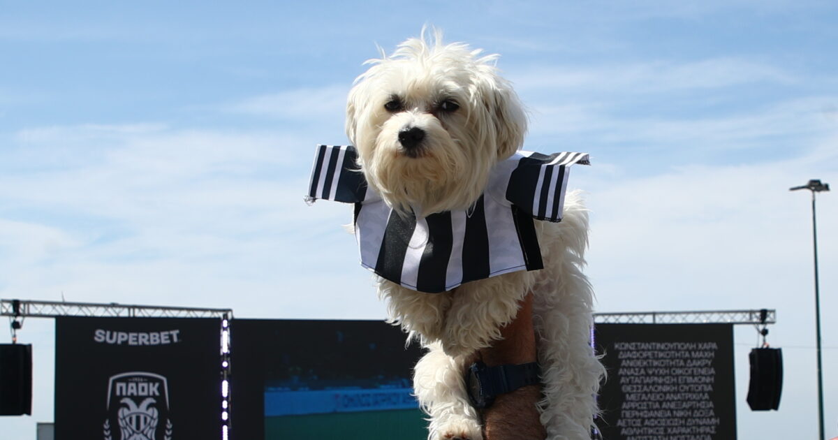 paok 5 1 1200x630.jpg