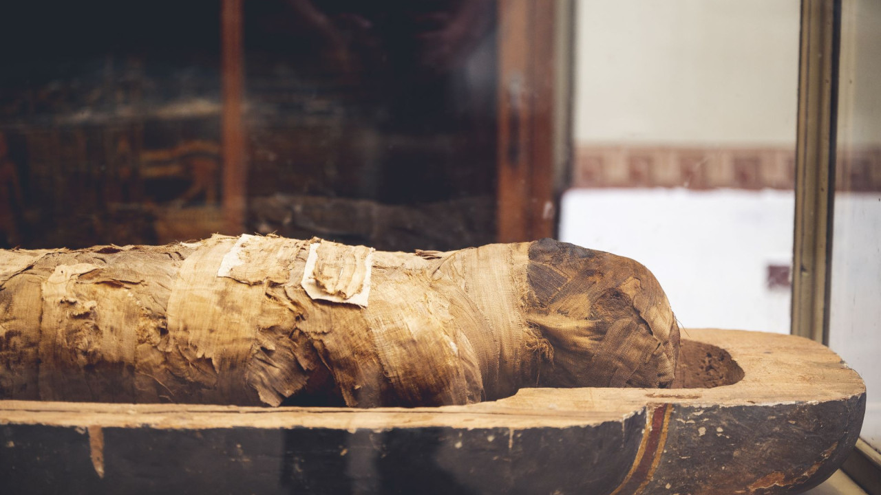 shutterstock moumia.jpg