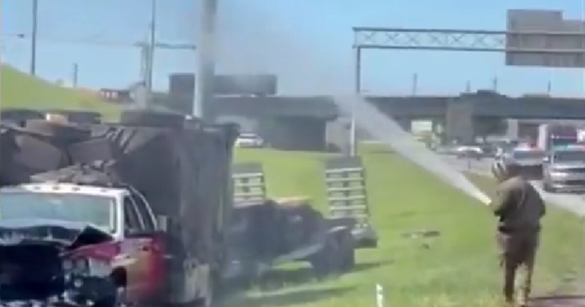 tenesi bees2 18042026 1200x630.jpg