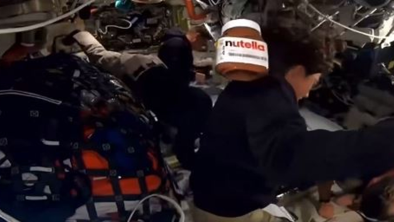 x nutella artemisii.jpg