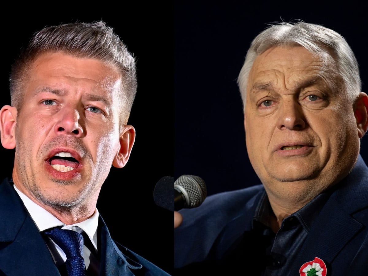 367b264e mayar orban.jpg