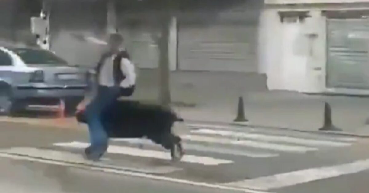 agriogourouno batman x 1200x630.jpg