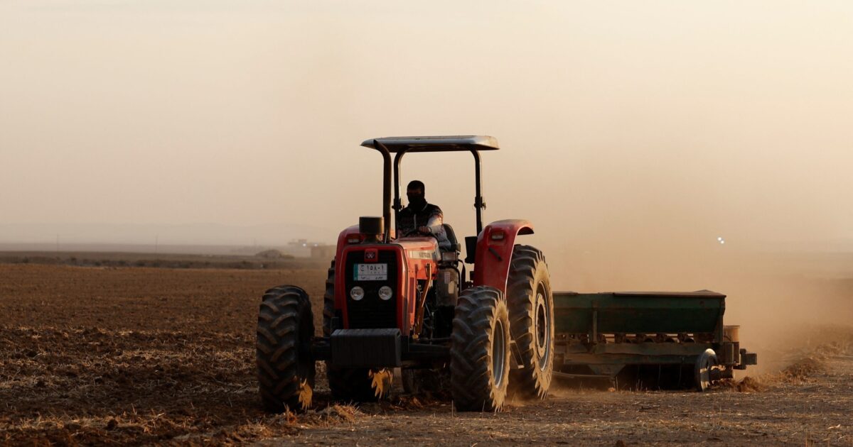 agrotes reuters scaled 1 1200x630.jpeg
