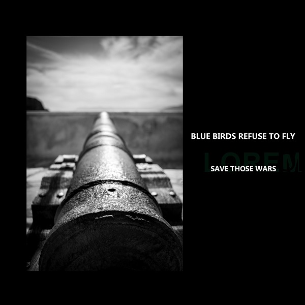 blue birds refuse to fly save those wars.jpg