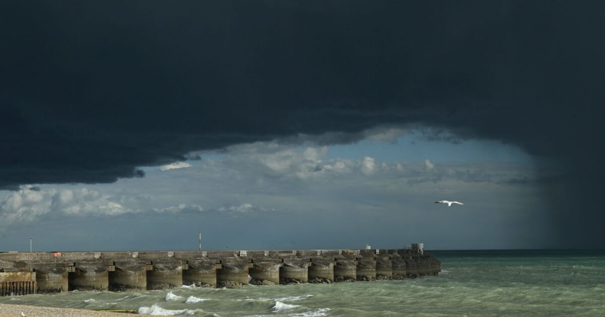 brighton 1 1200x630.jpg