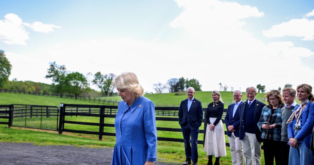 camilla 1200x630.jpg