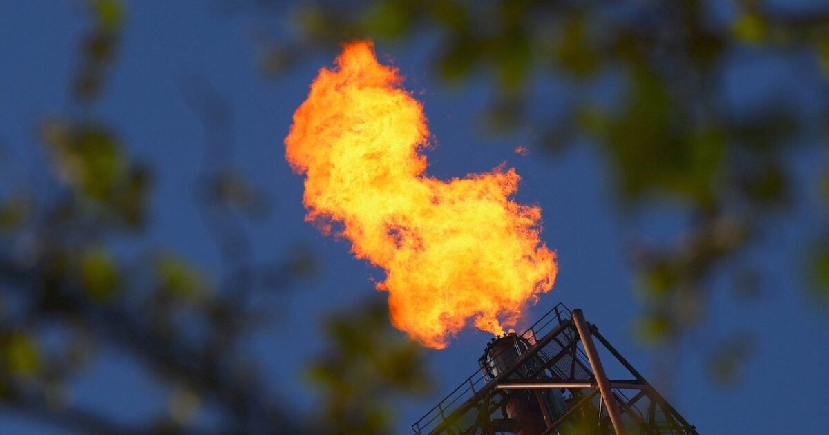 oil belgium 1 1200x630.jpeg